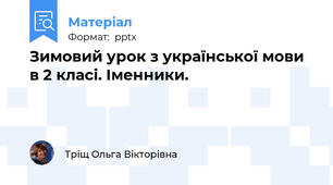 Зимовий урок з української мови в 2 класі. Іменники.