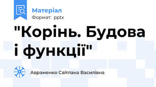 "Корінь. Будова і функції"