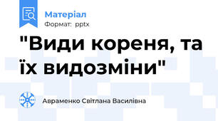 "Види кореня, та їх видозміни"