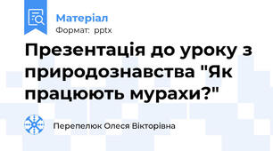 Презентація до уроку з природознавства "Як працюють мурахи?"