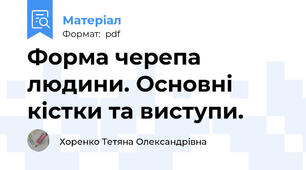Форма черепа людини. Основні кістки та виступи.