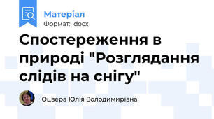 Спостереження в природі "Розглядання слідів на снігу"