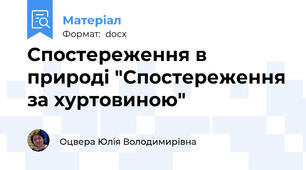 Спостереження в природі "Спостереження за хуртовиною"