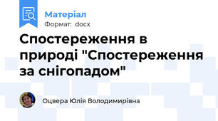 Спостереження в природі "Спостереження за снігопадом"
