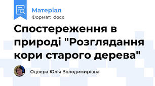 Спостереження в природі "Розглядання кори старого дерева"