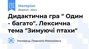 Дидактична гра " Один - багато". Лексична тема "Зимуючі птахи"