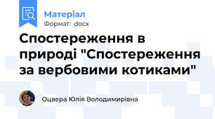 Спостереження в природі "Спостереження за вербовими котиками"