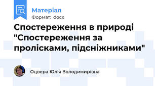 Спостереження в природі "Спостереження за пролісками, підсніжниками"