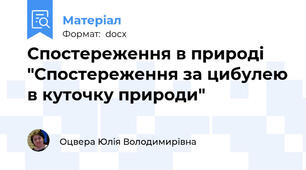 Спостереження в природі "Спостереження за цибулею в куточку природи"