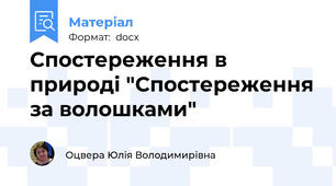 Спостереження в природі "Спостереження за волошками"