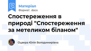 Спостереження в природі "Спостереження за метеликом біланом"