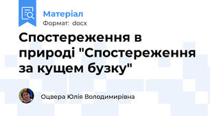 Спостереження в природі "Спостереження за кущем бузку"