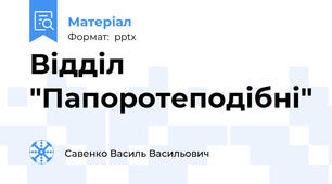 Відділ "Папоротеподібні"