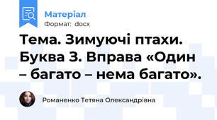 Тема. Зимуючі птахи. Буква З. Вправа «Один – багато – нема багато».