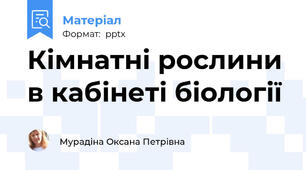 Кімнатні рослини в кабінеті біології