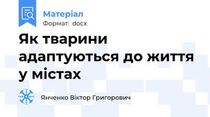 Як тварини адаптуються до життя у містах