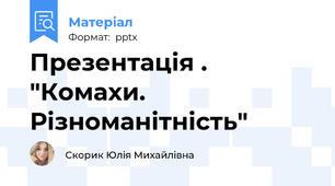 Презентація . "Комахи. Різноманітність"