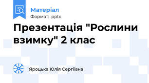 Презентація "Рослини взимку" 2 клас