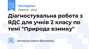 Діагностувальна робота з ЯДС для учнів 2 класу по темі "Природа взимку"