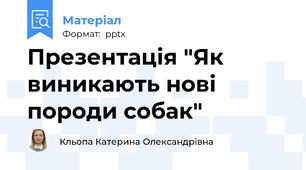 Презентація "Як виникають нові породи собак"
