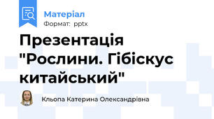 Презентація "Рослини. Гібіскус китайський"