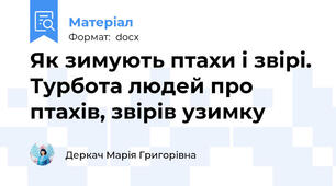 Як зимують птахи і звірі. Турбота людей про птахів, звірів узимку