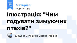 Ілюстрація: "Чим годувати зимуючих птахів?"