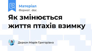 Як змінюється життя птахів взимку