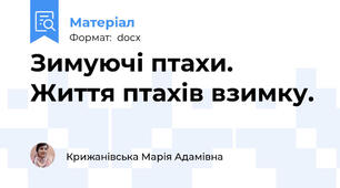 Зимуючі птахи. Життя птахів взимку.