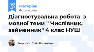 Діагностувальна робота  з мовної теми " Числівник, займенник" 4 клас НУШ