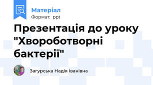 Презентація до уроку  "Хвороботворні бактерії"