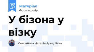 У бізона у візку