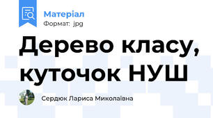 Дерево класу, куточок НУШ