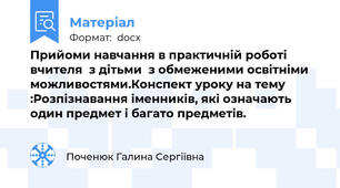 Прийоми навчання в практичній роботі вчителя  з дітьми  з обмеженими освітніми можливостями.Конспект уроку на тему :Розпізнавання іменників, які означають один предмет і багато предметів.