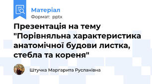 Презентація на тему "Порівняльна характеристика анатомічної будови листка, стебла та кореня"