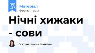 Нічні хижаки - сови