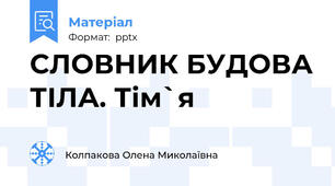 СЛОВНИК БУДОВА ТІЛА. Тім`я