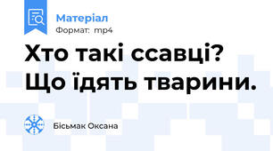 Хто такі ссавці? Що їдять тварини.