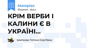 КРІМ ВЕРБИ І КАЛИНИ Є В УКРАЇНІ…