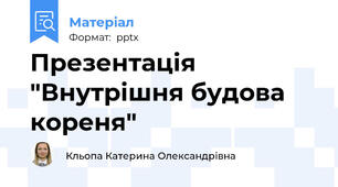 Презентація "Внутрішня будова кореня"