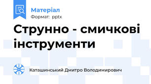 Струнно - смичкові інструменти