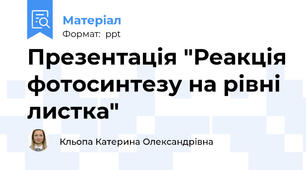Презентація "Реакція фотосинтезу на рівні листка"