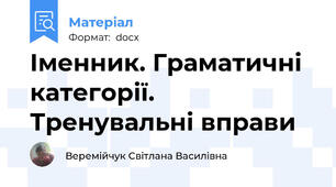 Іменник. Граматичні категорії. Тренувальні вправи