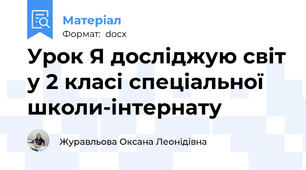 Урок Я досліджую світ у 2 класі спеціальної школи-інтернату