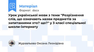 Урок української мови з теми "Розрізнення слів, що означають назви предметів за запитаннями хто? що?" у 3 класі спеціальної школи-інтернату