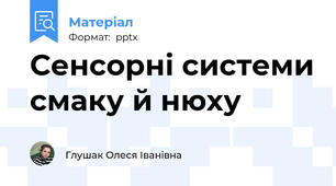 Сенсорні системи смаку й нюху