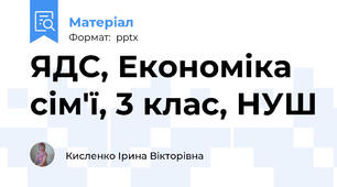 ЯДС, Економіка сім'ї, 3 клас, НУШ