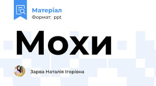 Мохи