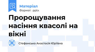 Пророщування насіння квасолі на вікні
