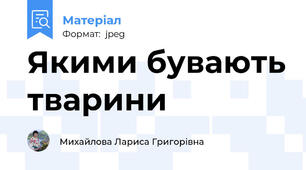 Якими бувають тварини